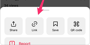 Step 1: Copy URL instruction