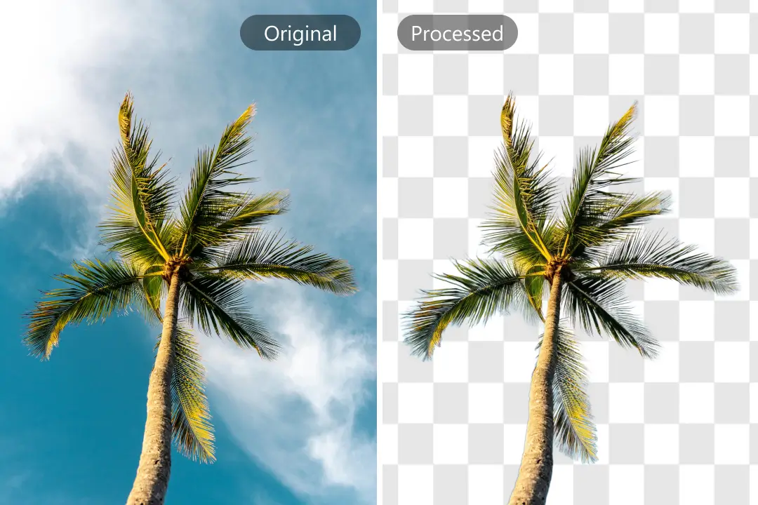 Background remover