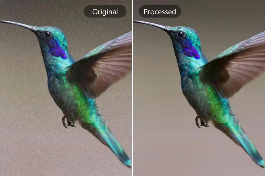 Image Noise Reducer