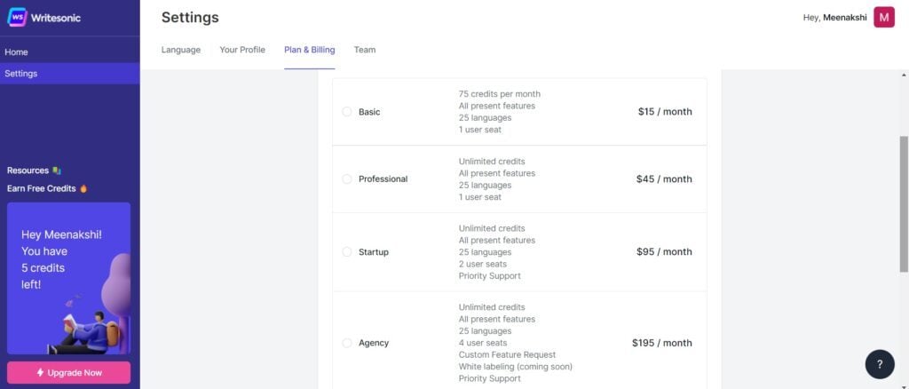 Writesonic Pricing Structure For Customers